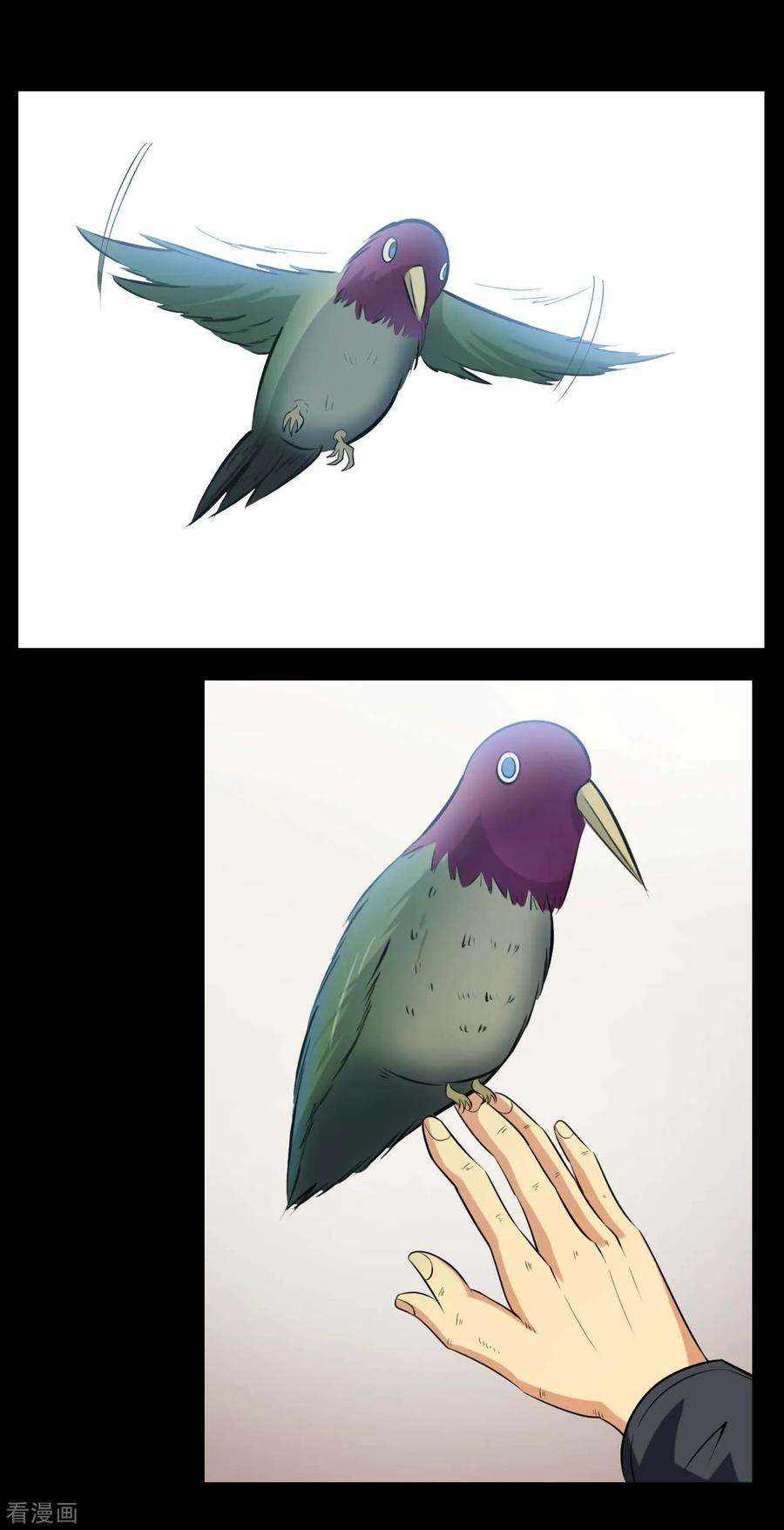 26.jpg