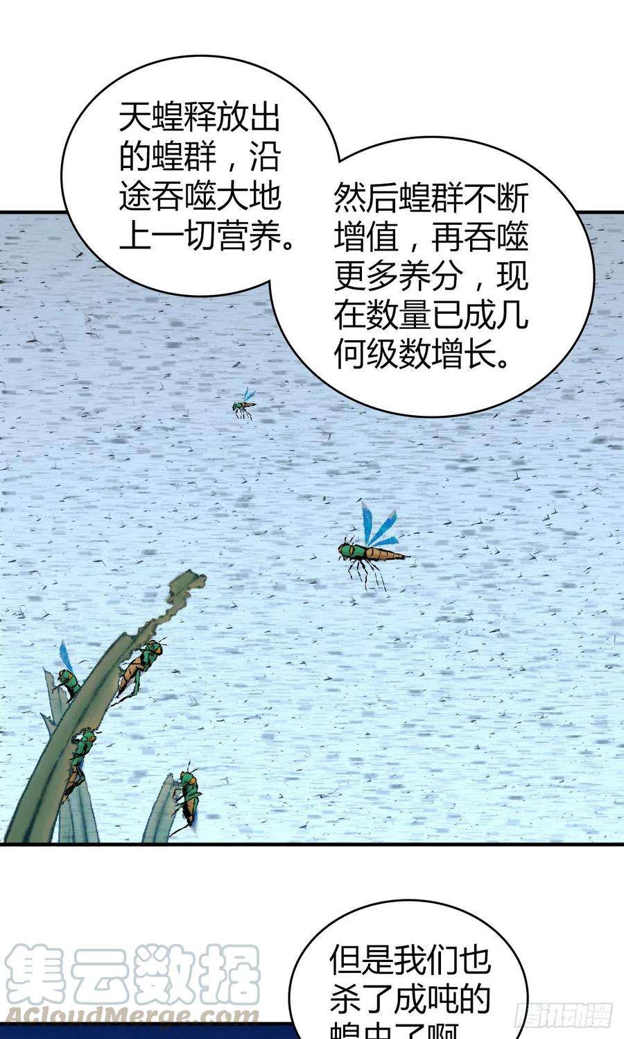 17.jpg