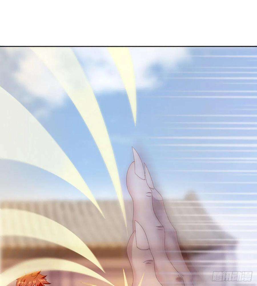 78.jpg