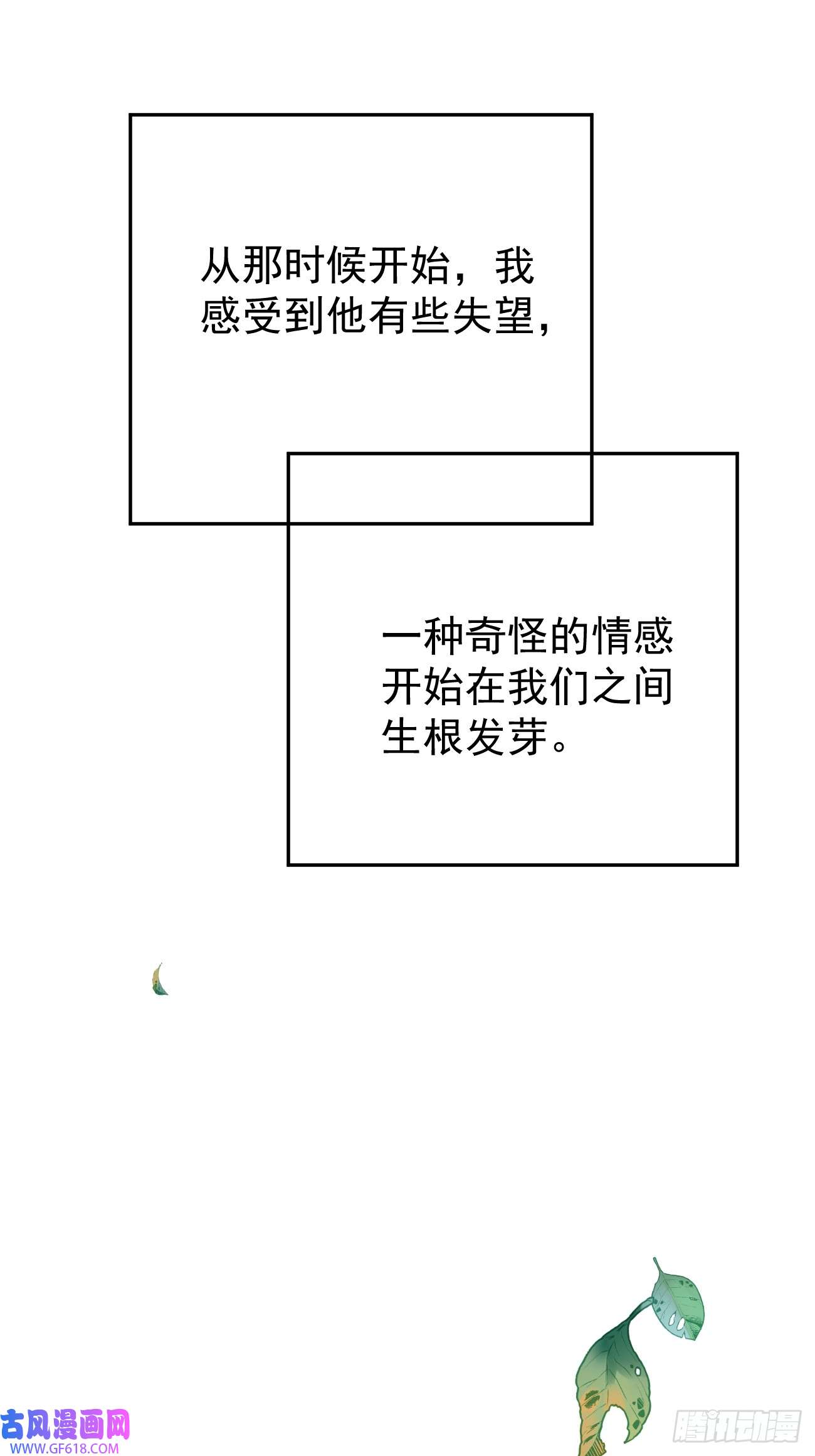 53.jpg