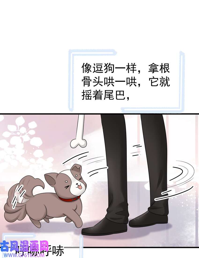 25.jpg