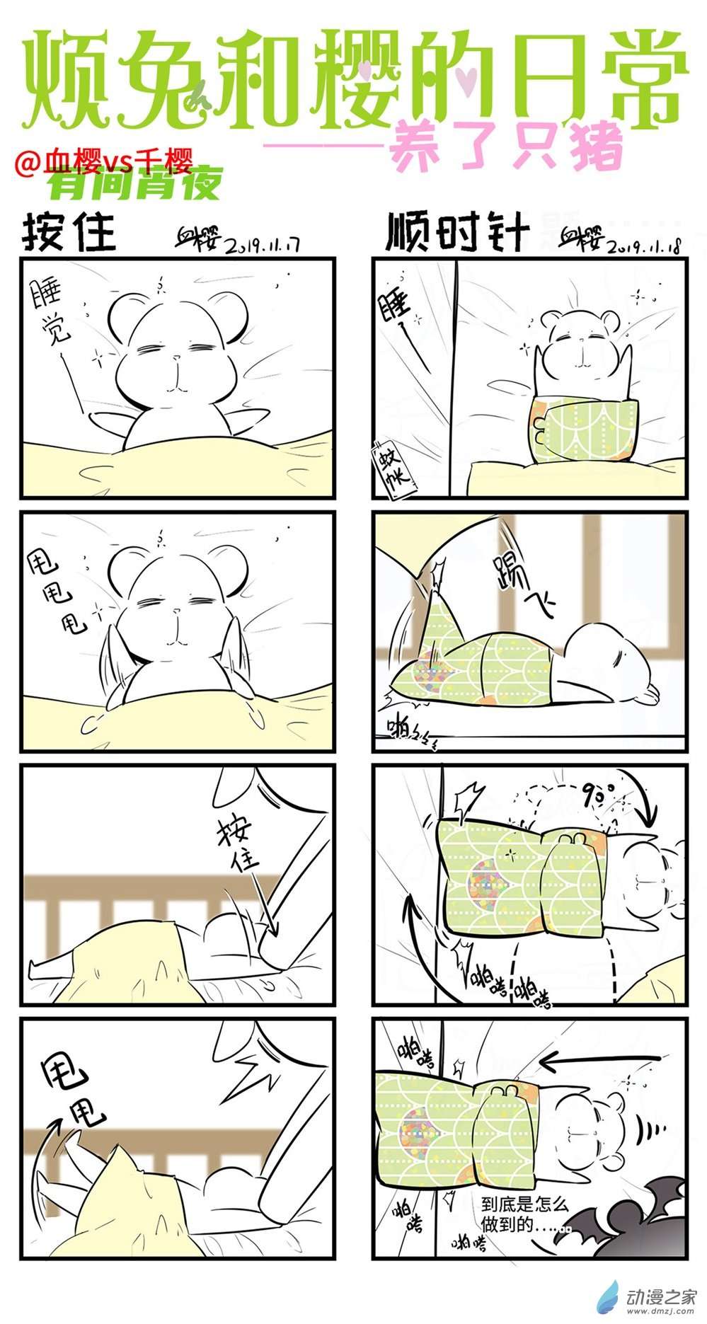 8.jpg