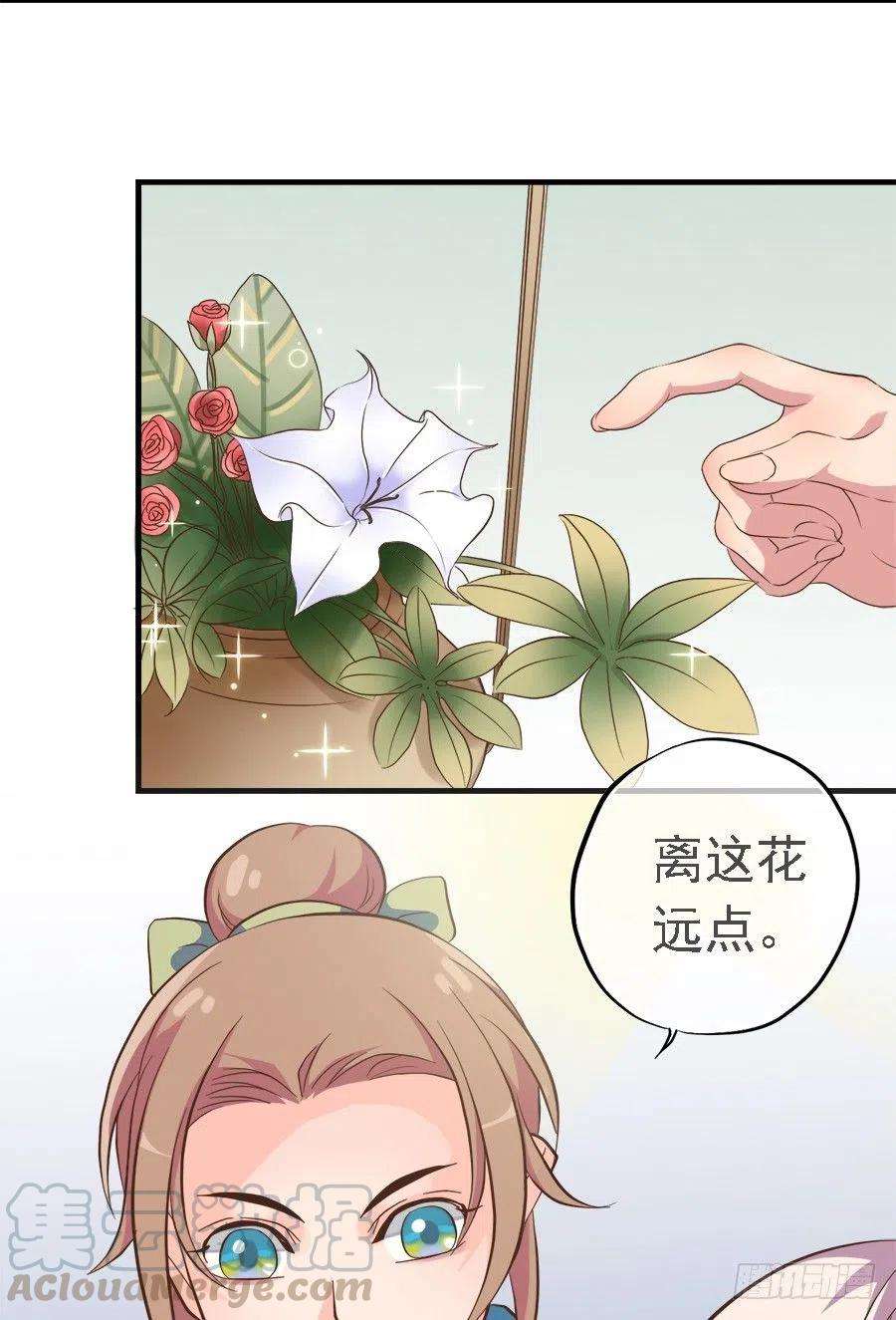 16.jpg