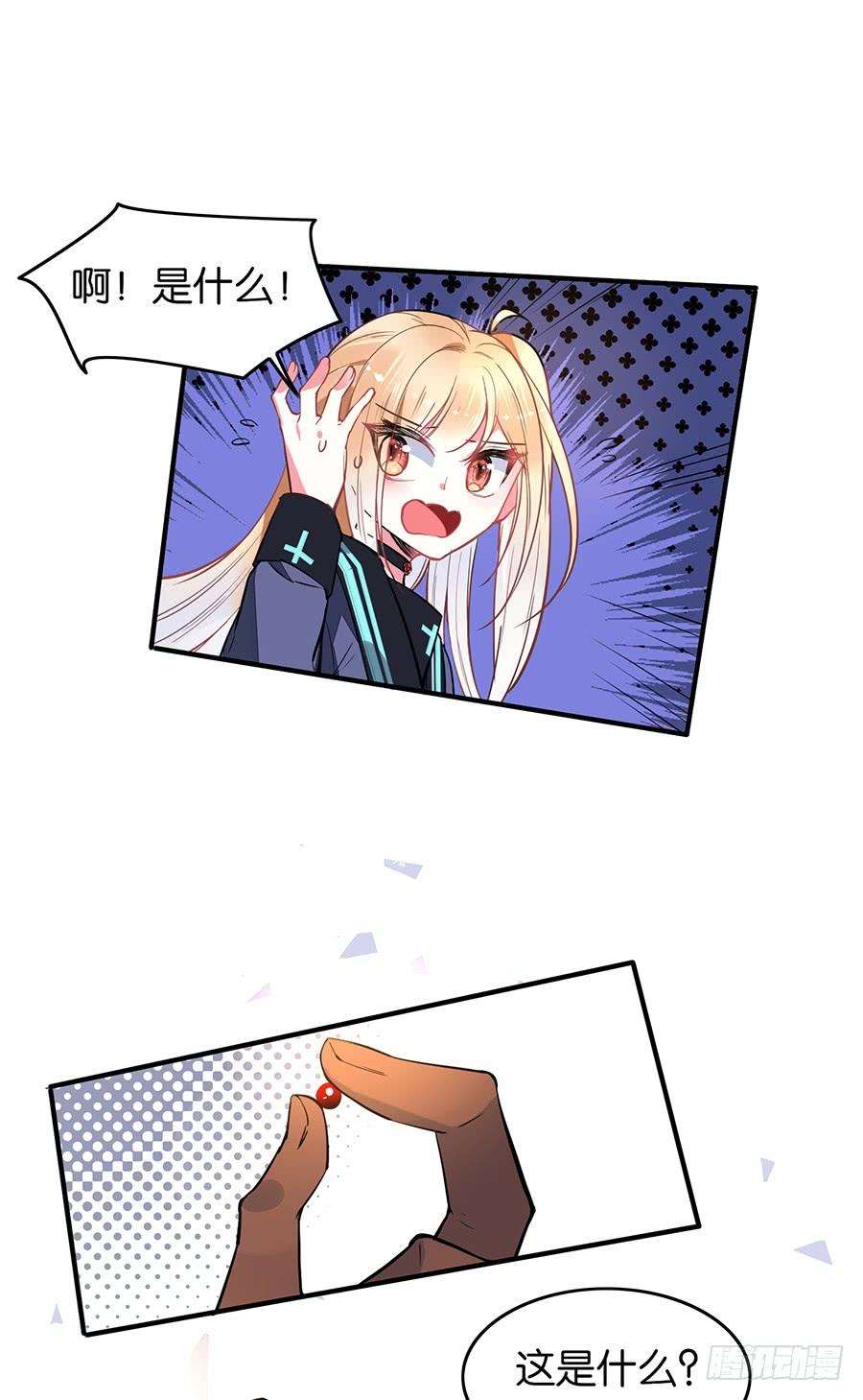 8.jpg