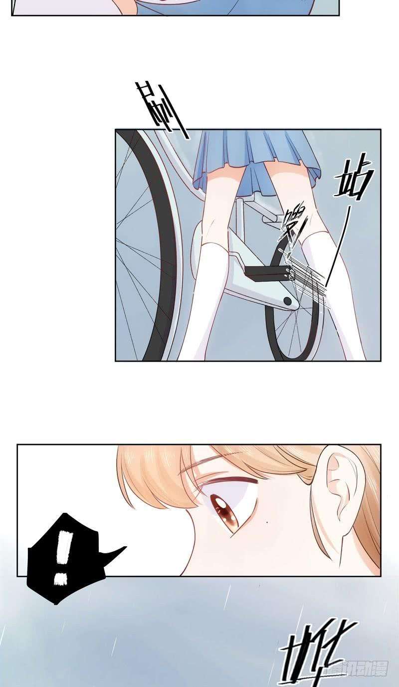 48.jpg