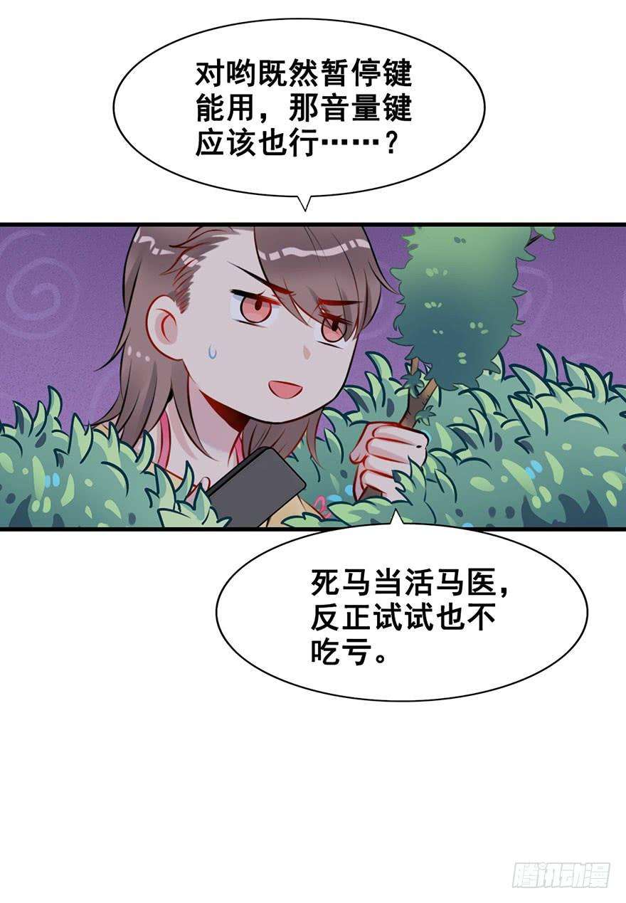 19.jpg