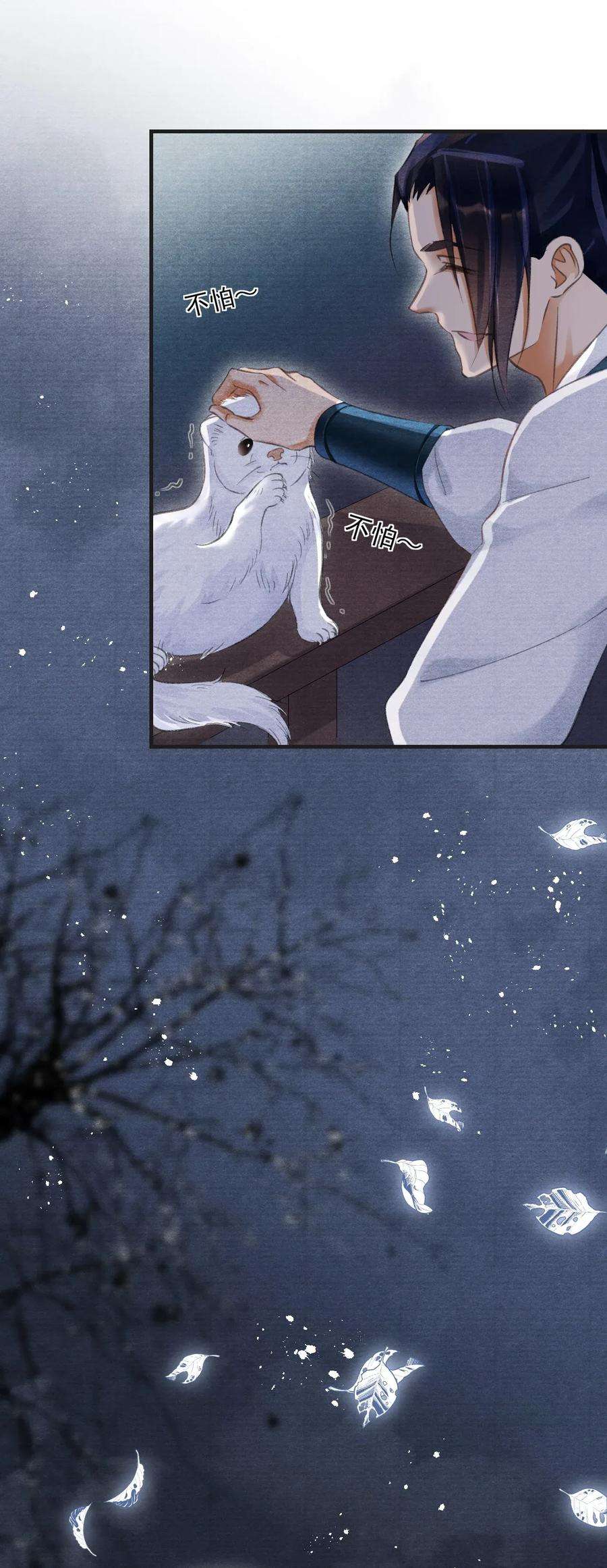 17.jpg