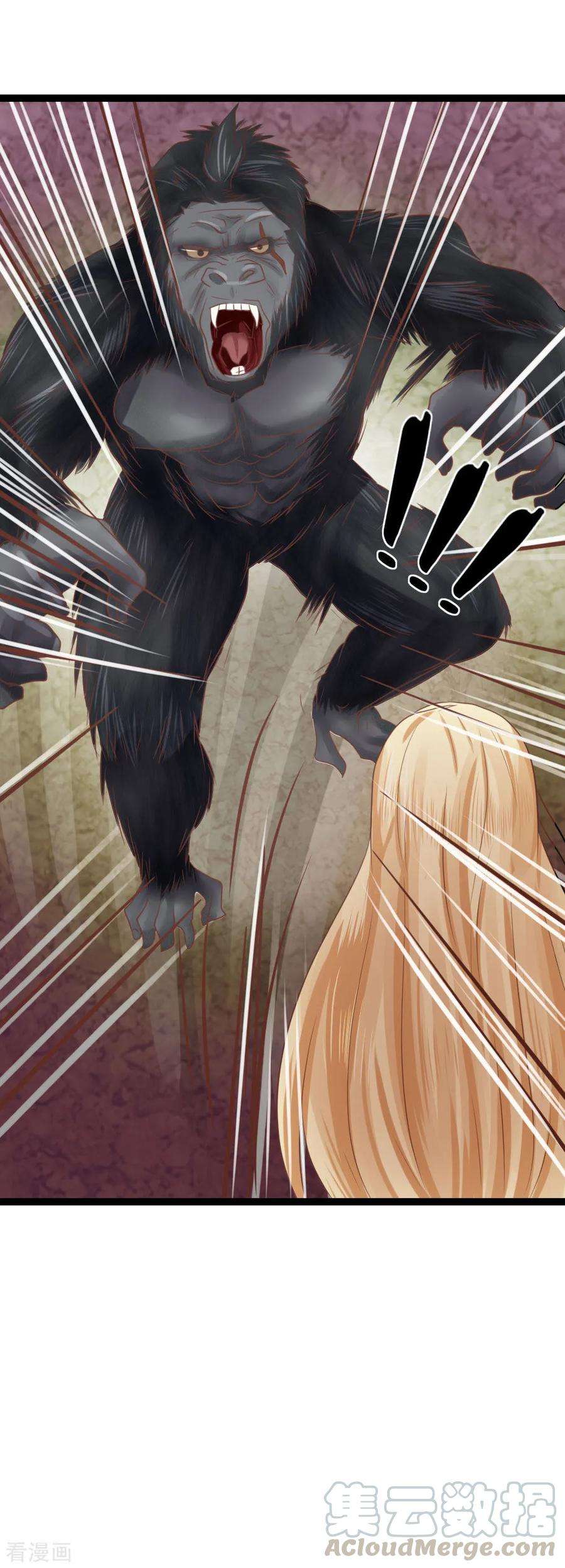 33.jpg