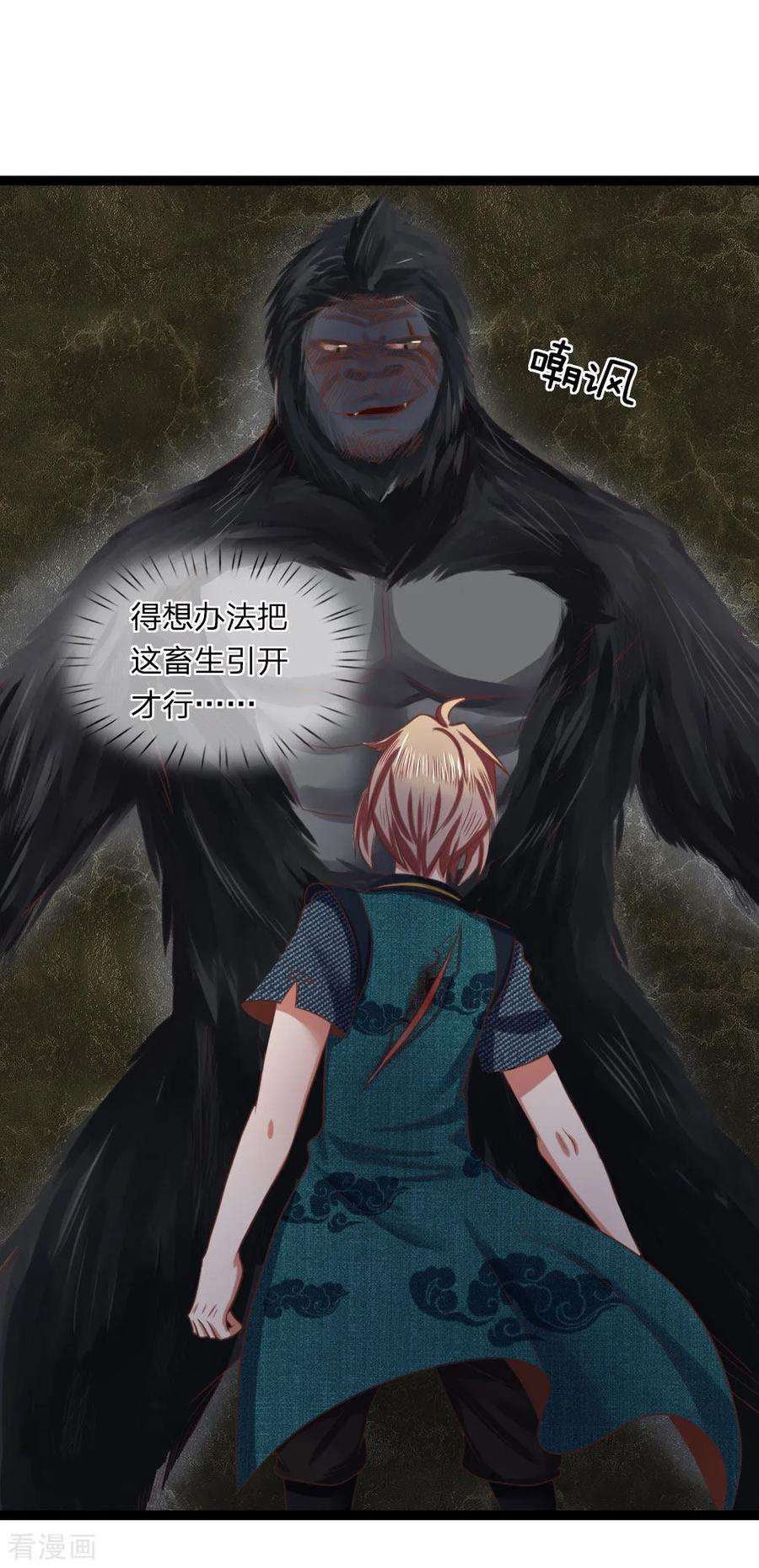 15.jpg