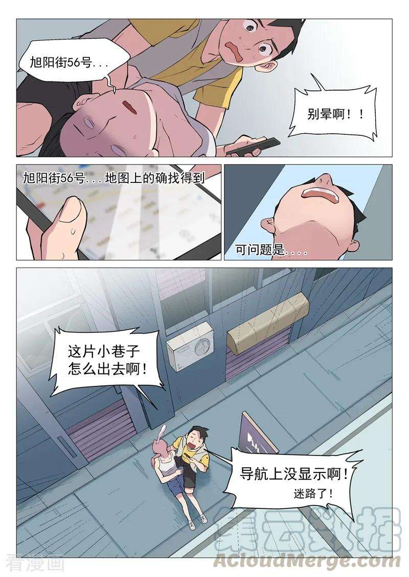 11.jpg