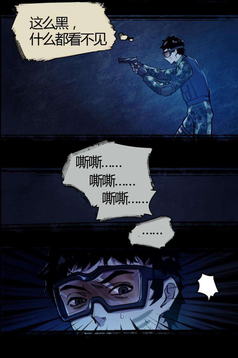 15.jpg