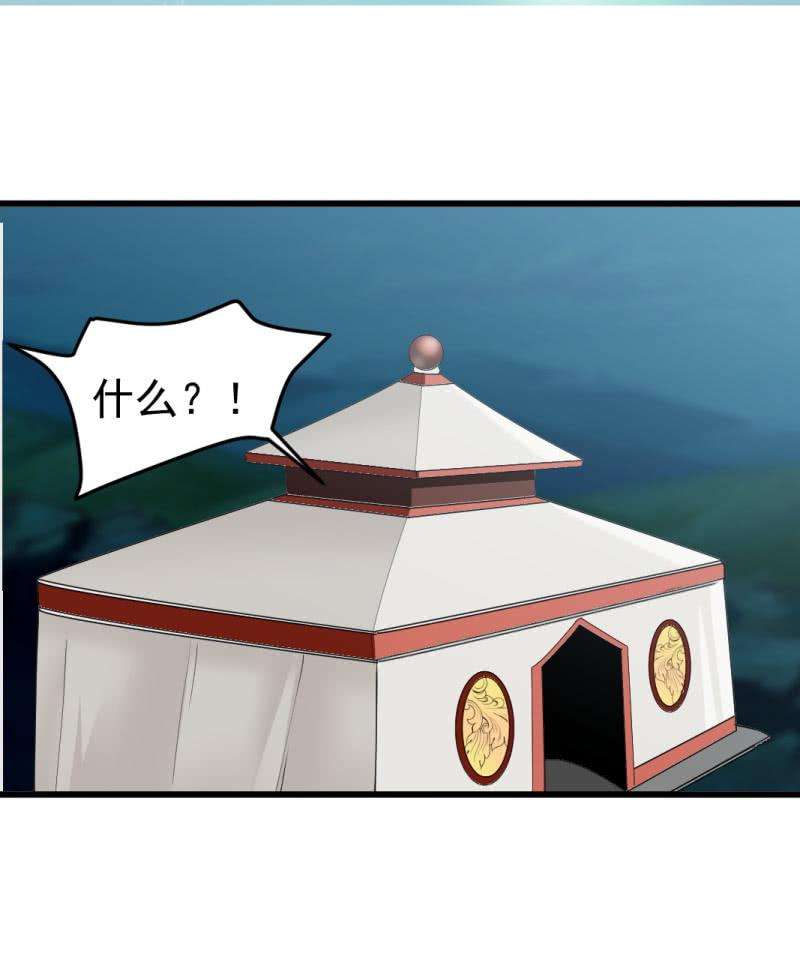 31.jpg