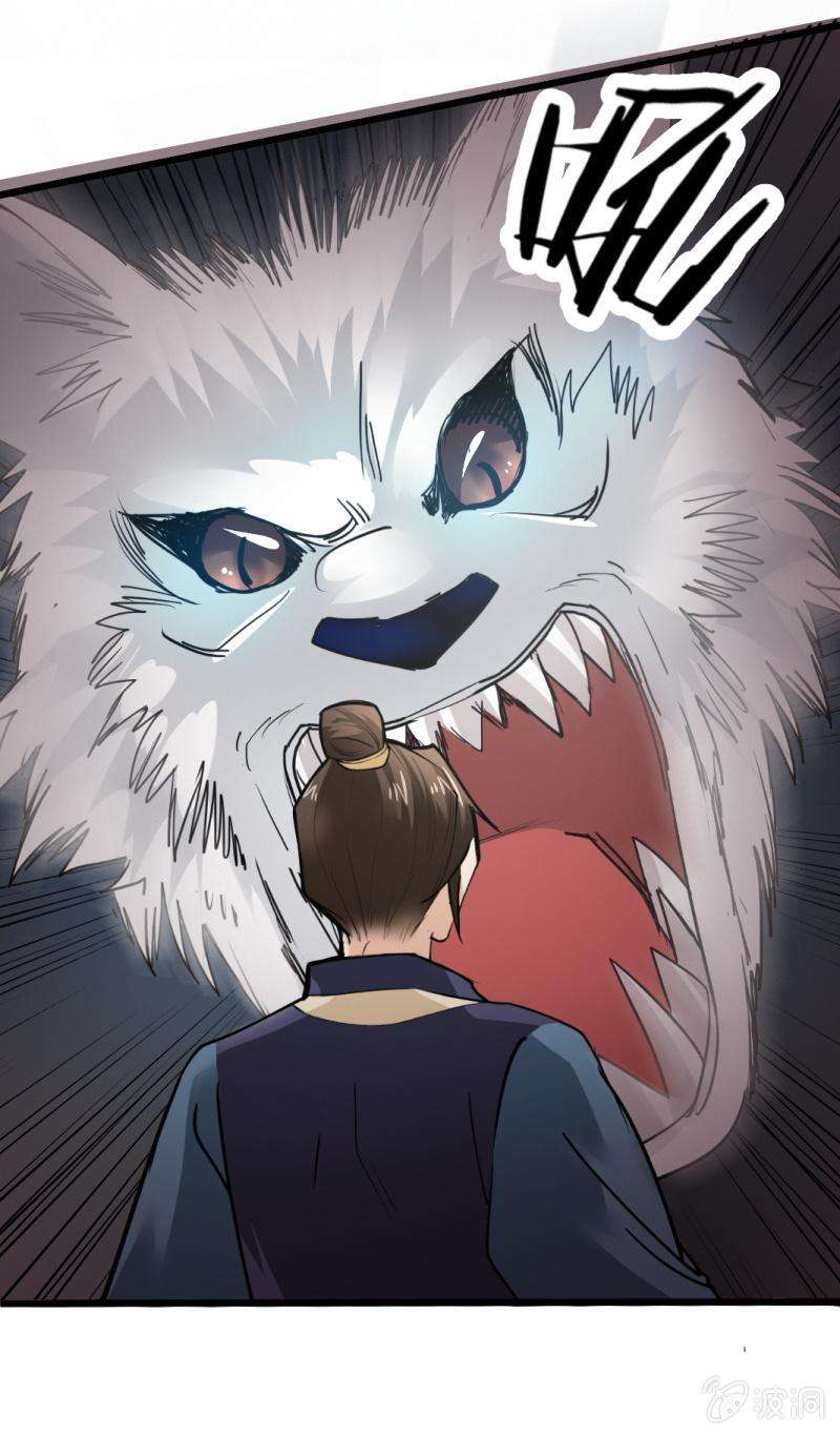 5.jpg