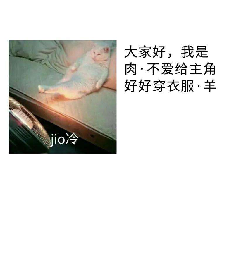 36.jpg
