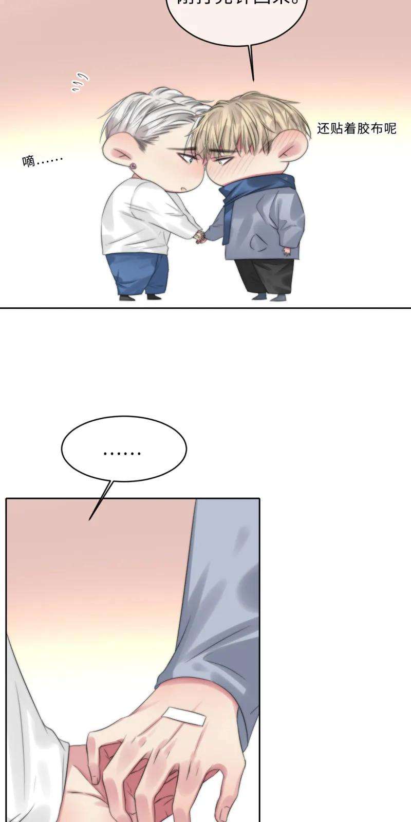15.jpg