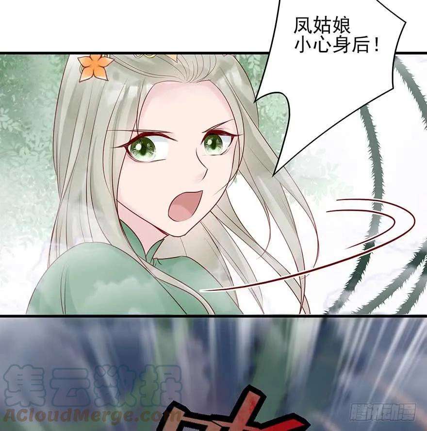 41.jpg