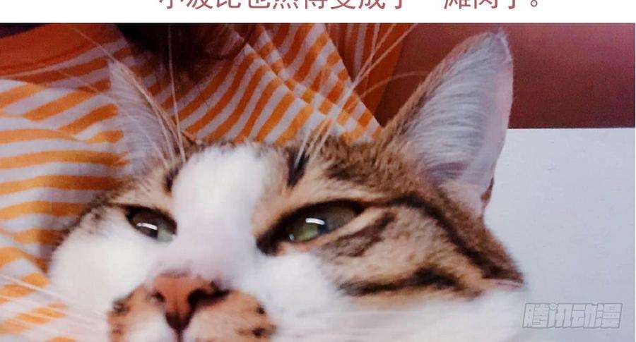 140.jpg