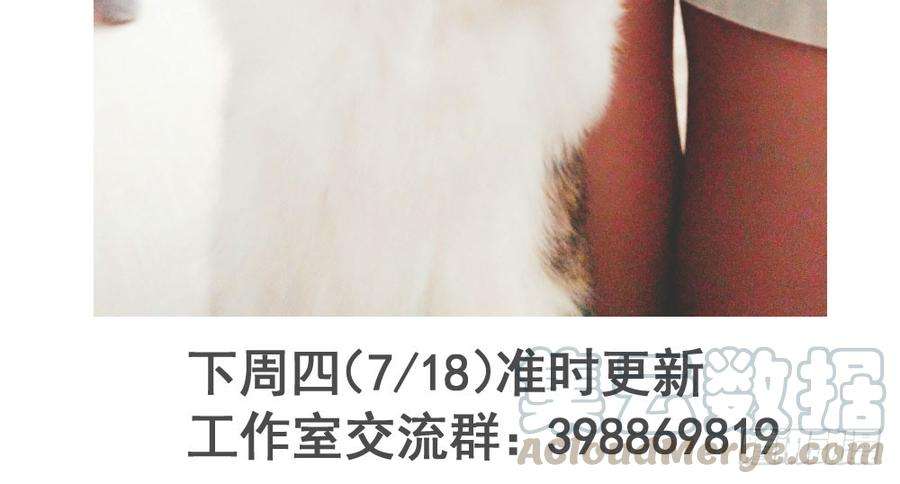 141.jpg