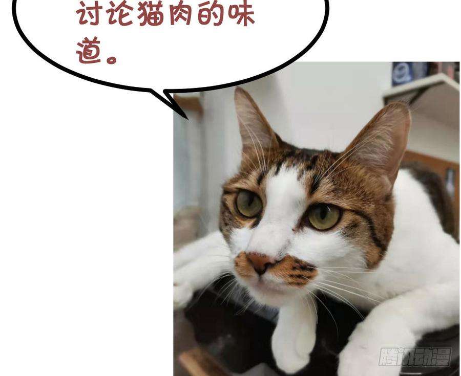 116.jpg