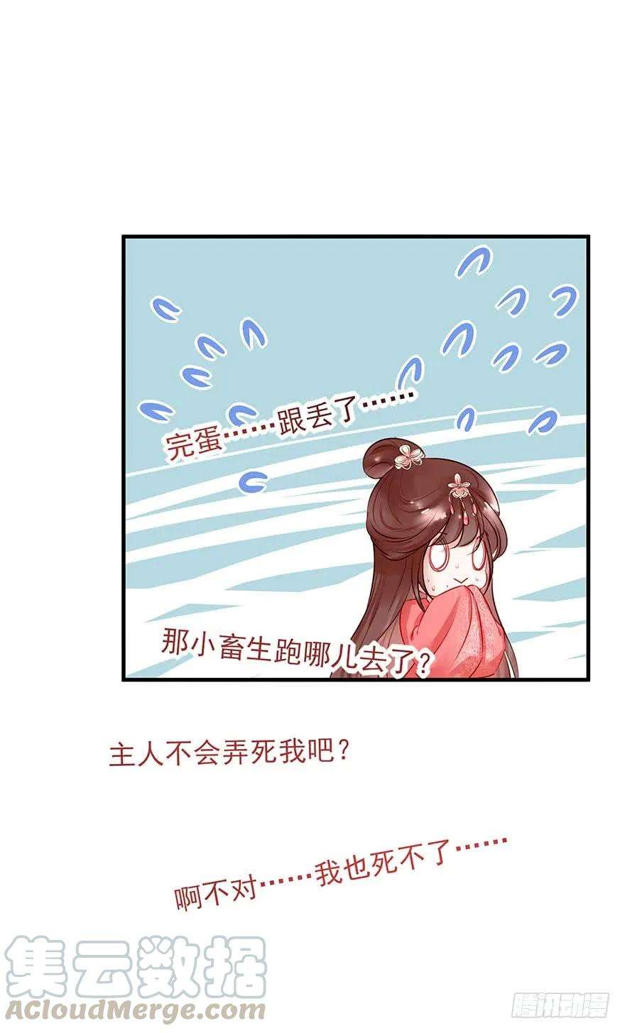 49.jpg