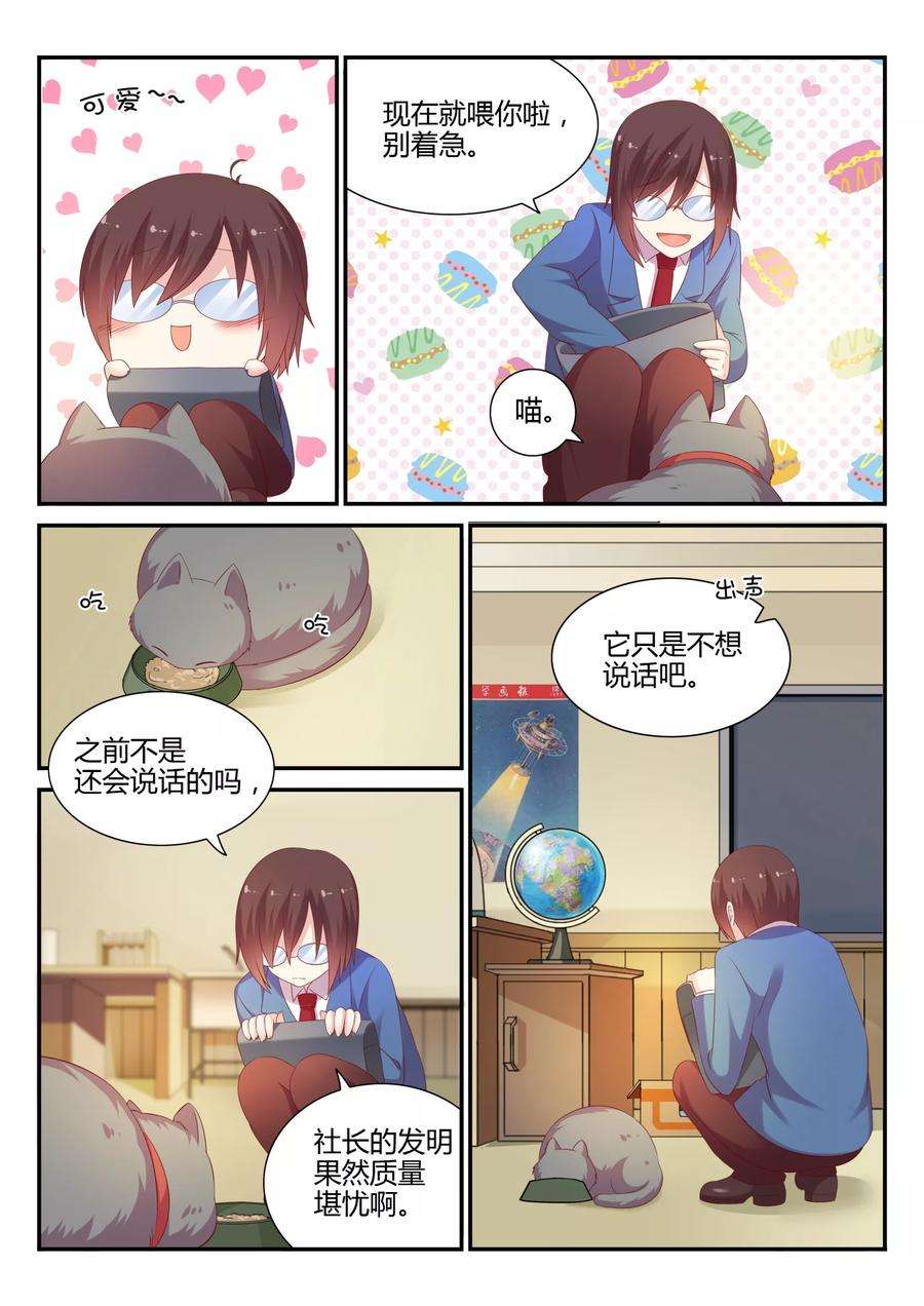 5.jpg