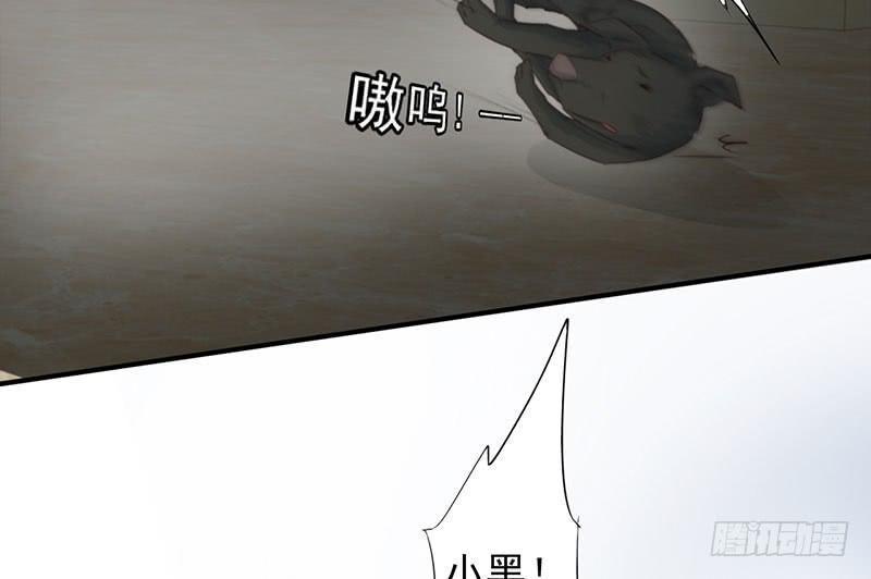 68.jpg