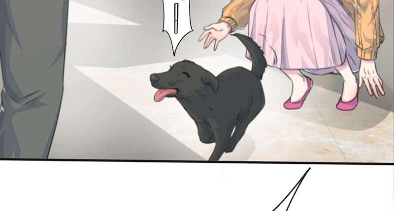 65.jpg
