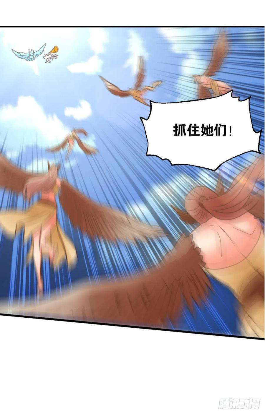 51.jpg