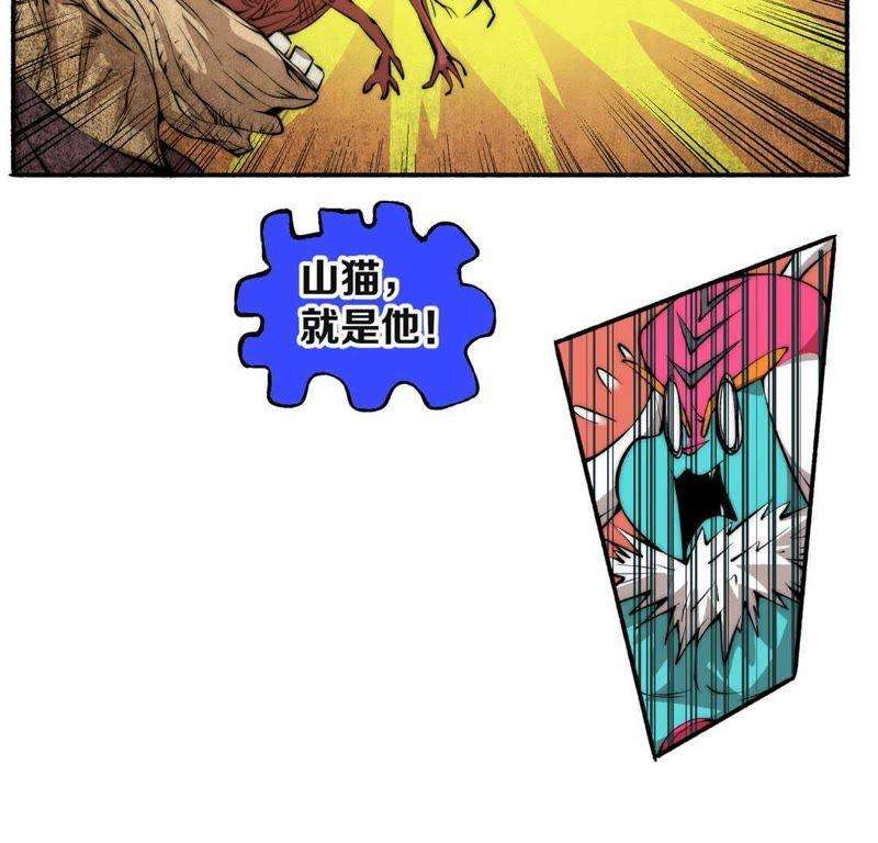 73.jpg
