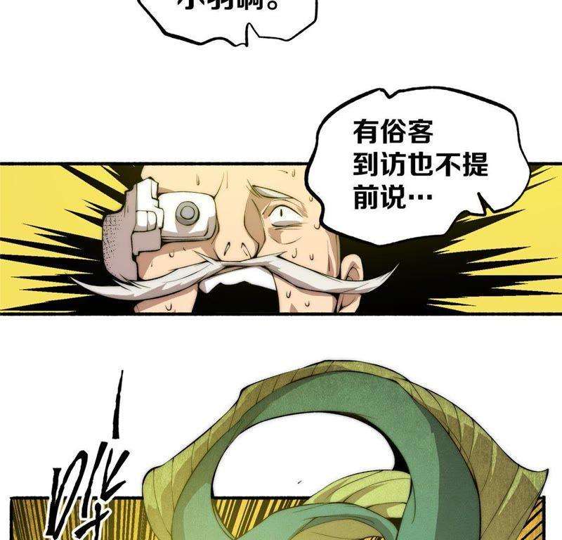 35.jpg