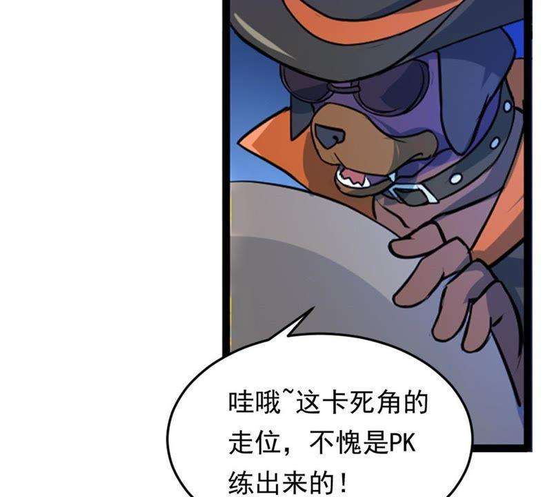 19.jpg