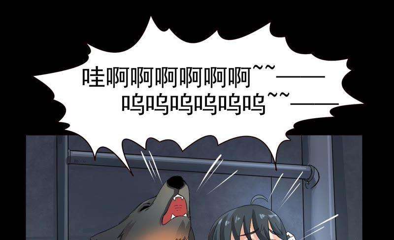 40.jpg