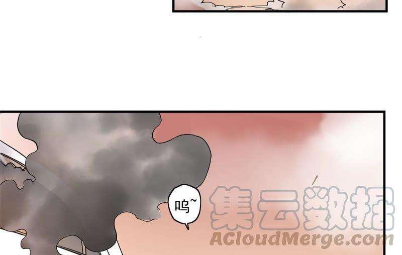 51.jpg