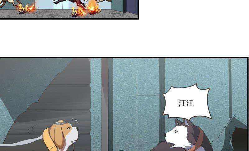 37.jpg