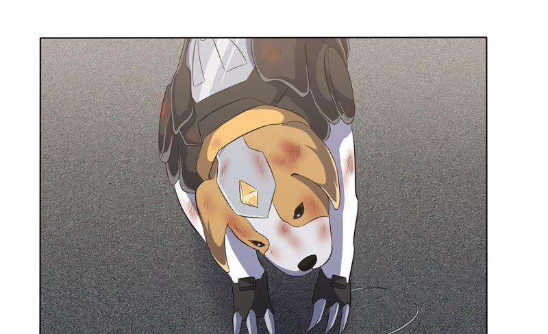 39.jpg