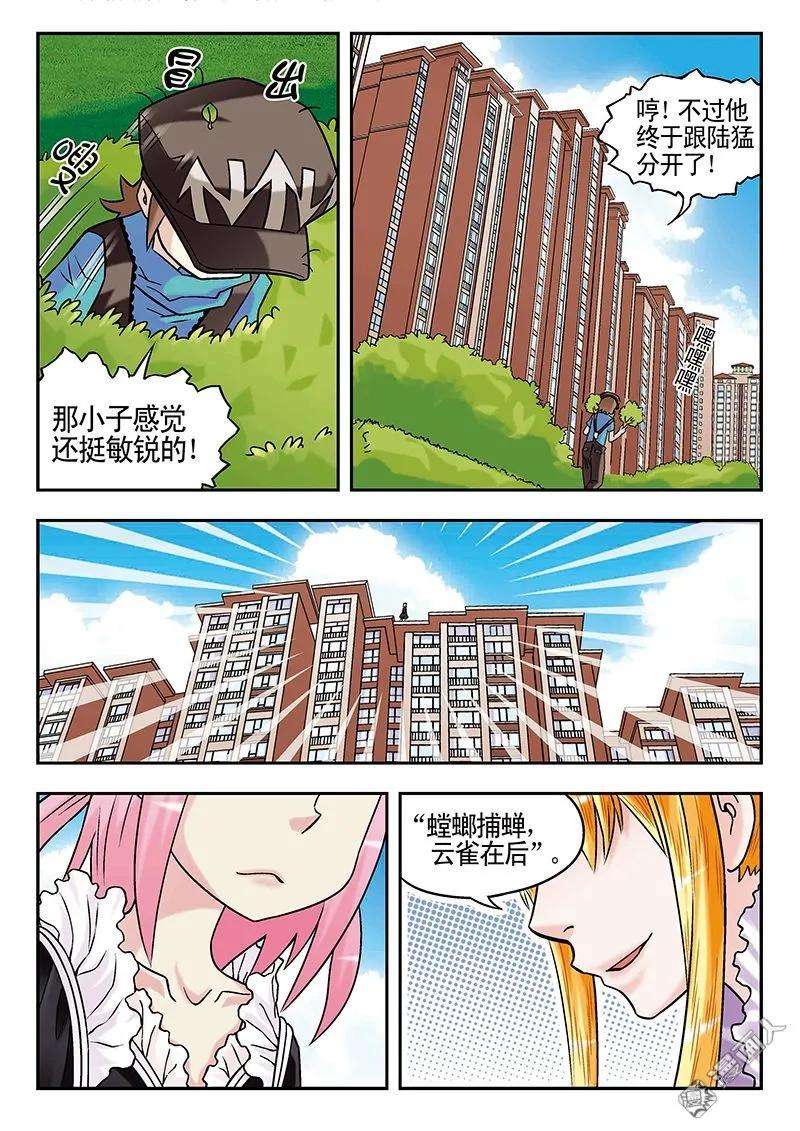 12.jpg