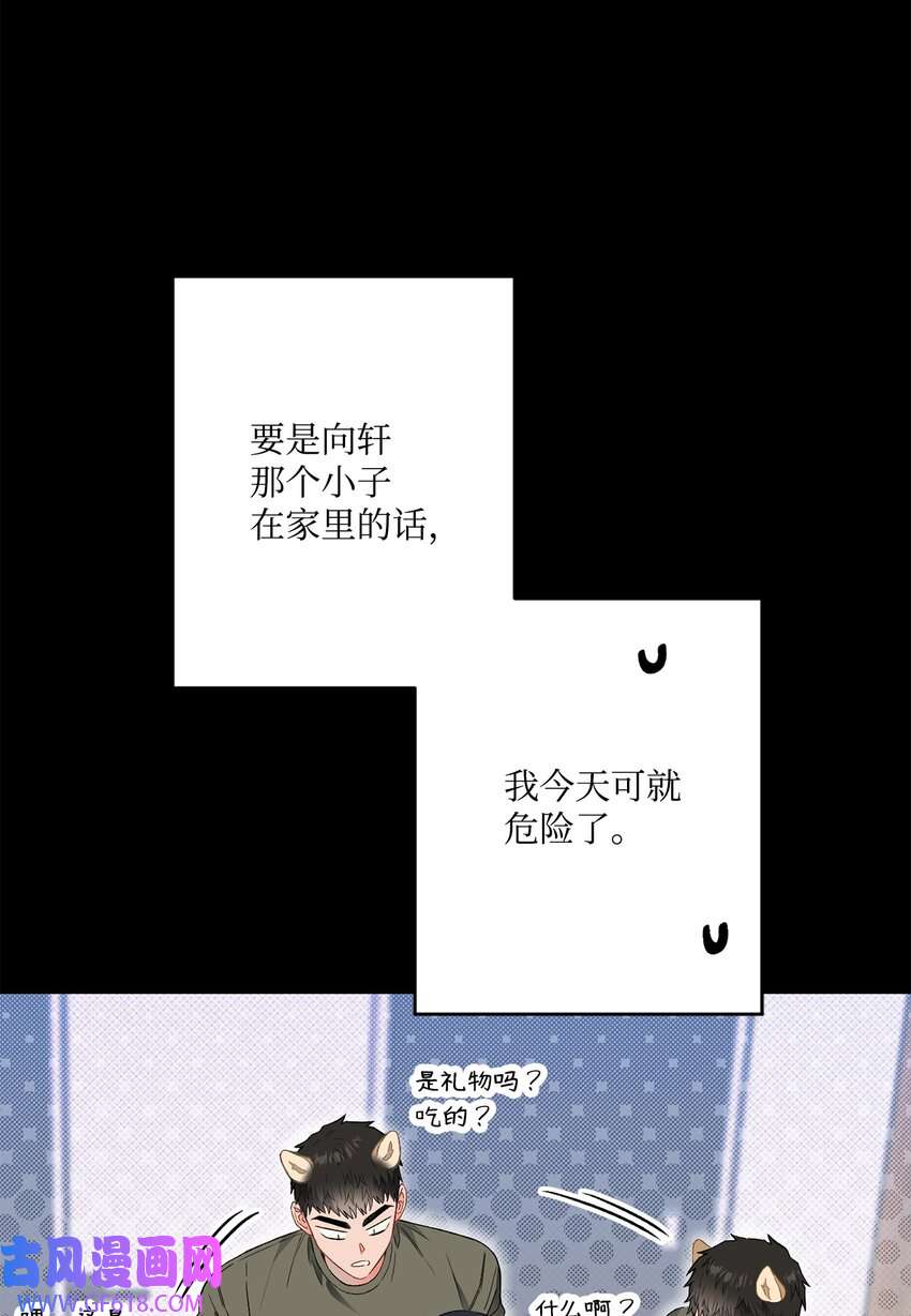 41.jpg