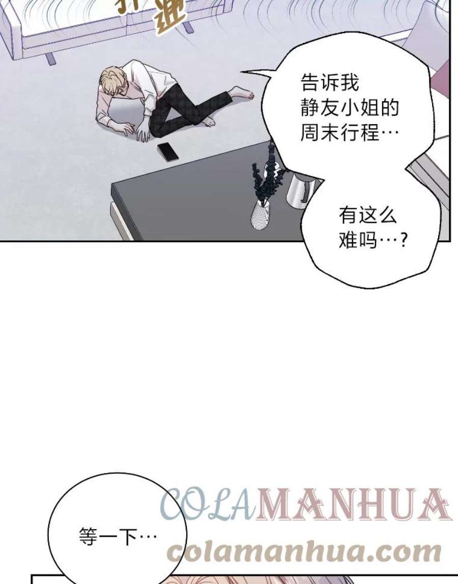 61.jpg
