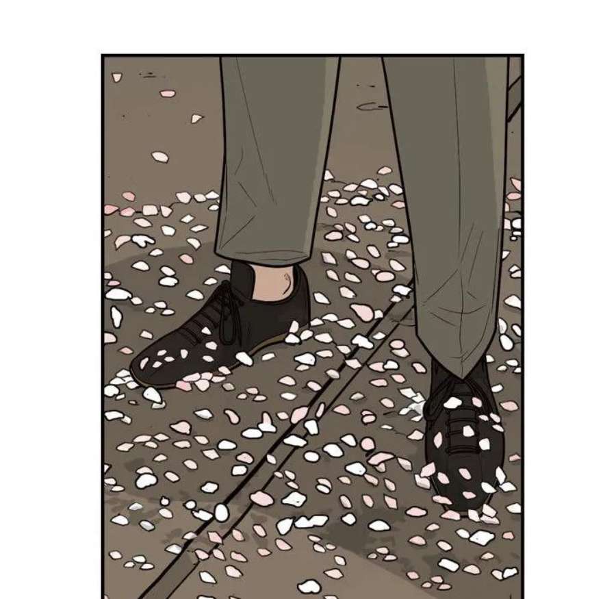 50.jpg