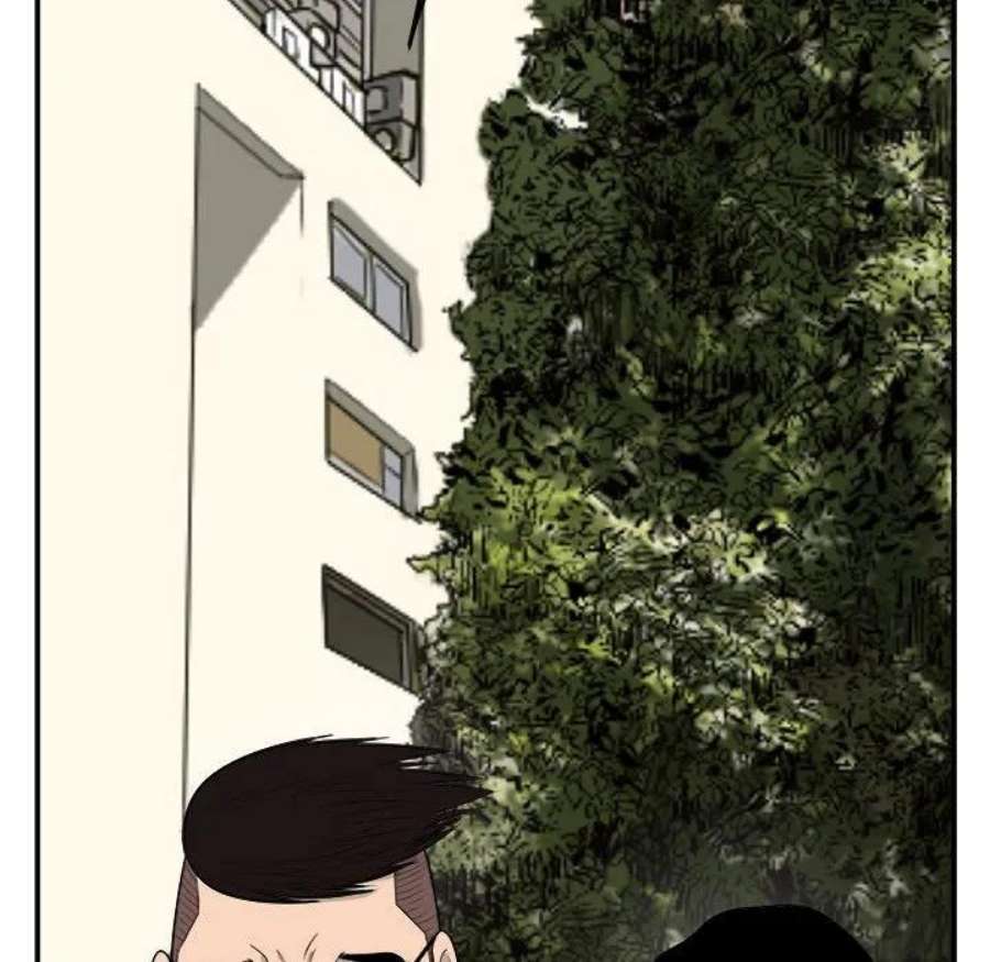 46.jpg