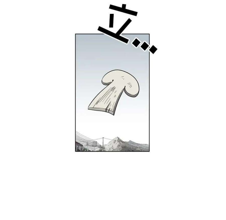 75.jpg