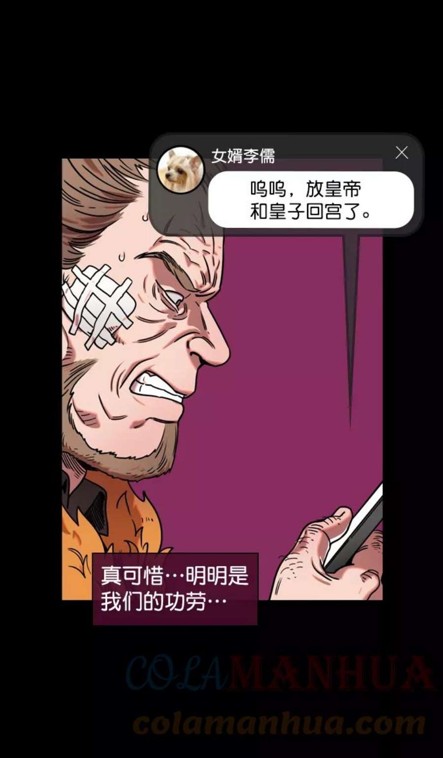 15.jpg