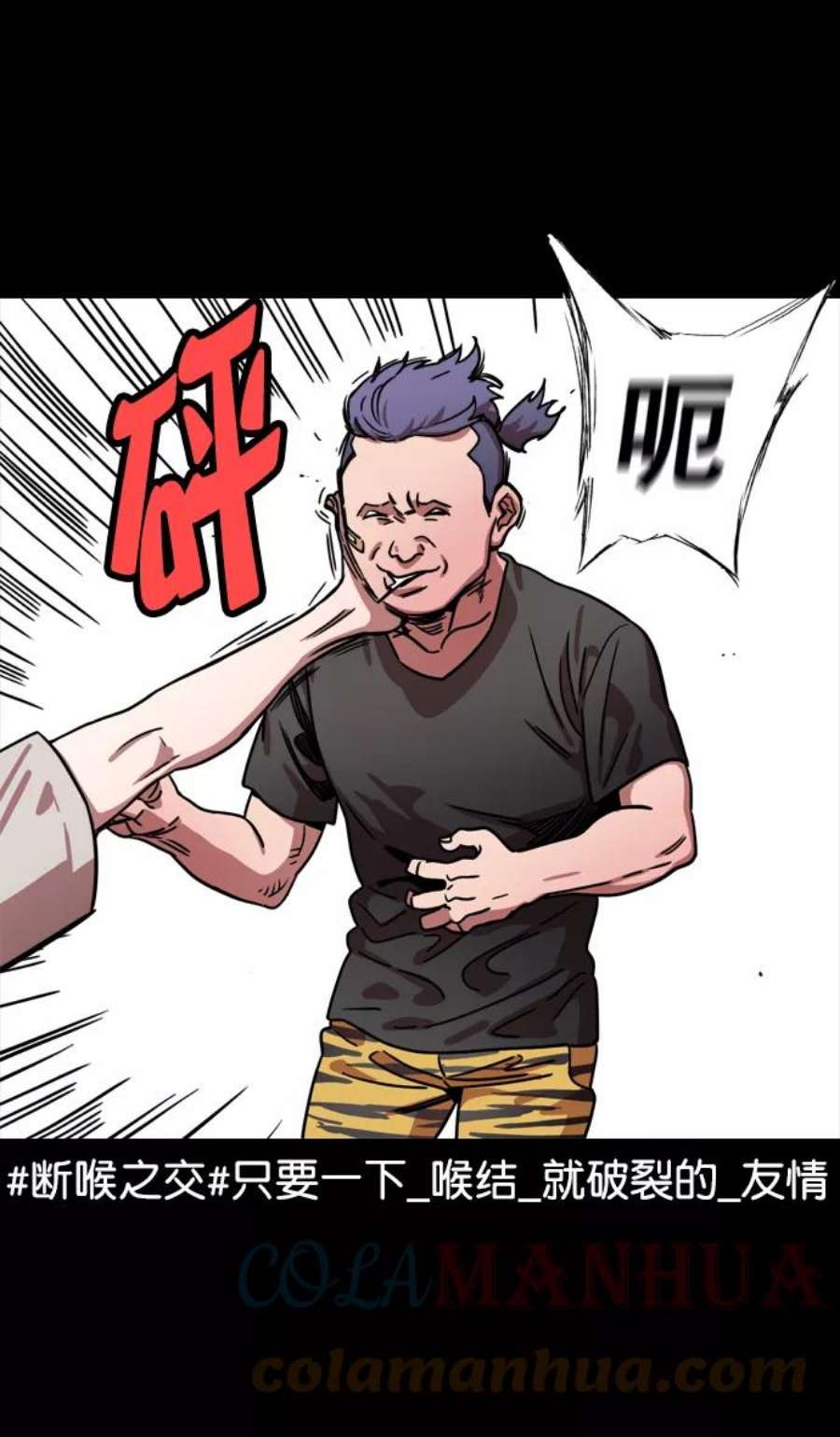 5.jpg