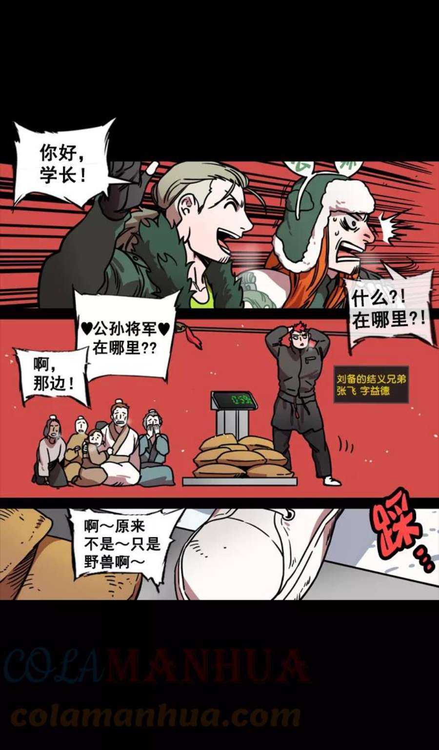 11.jpg