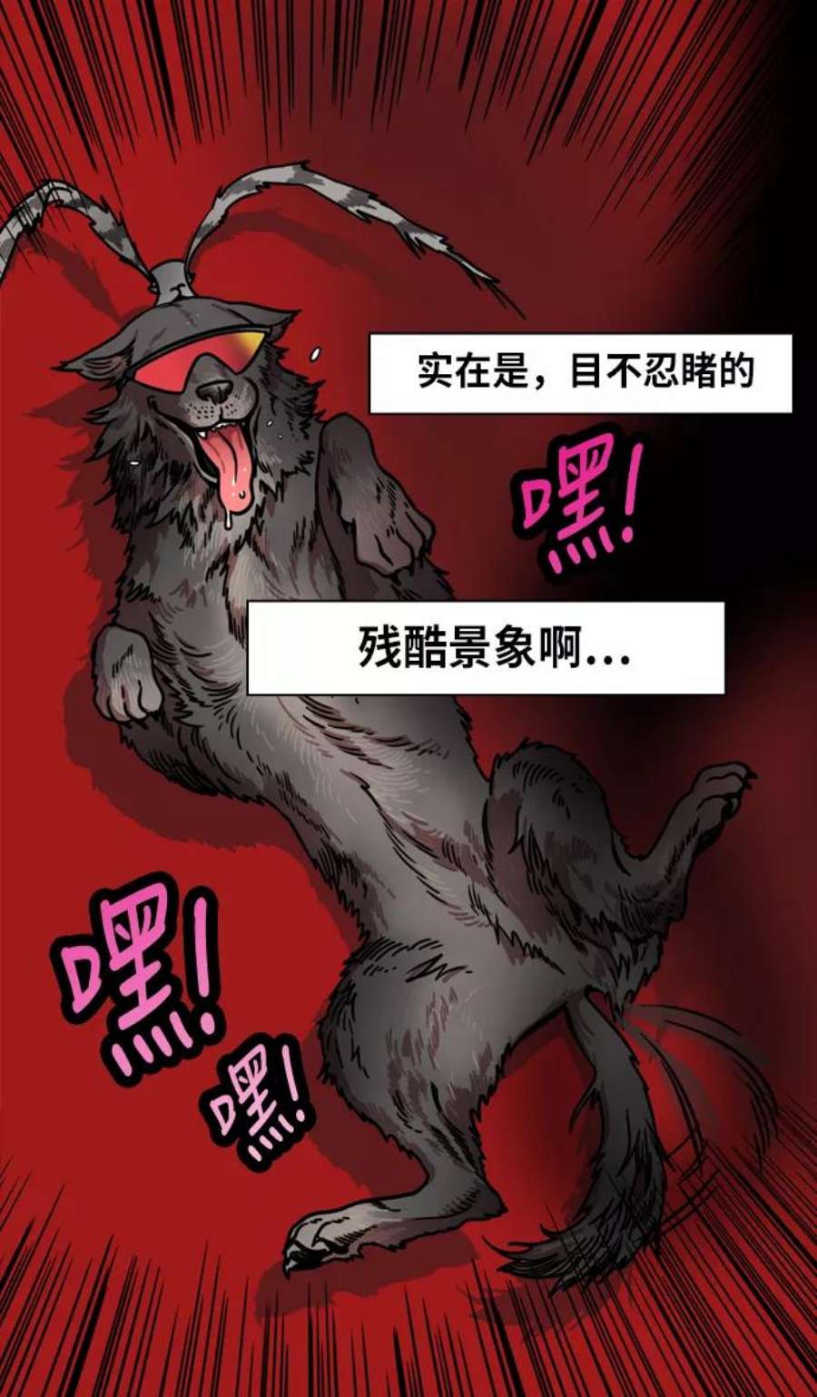 28.jpg