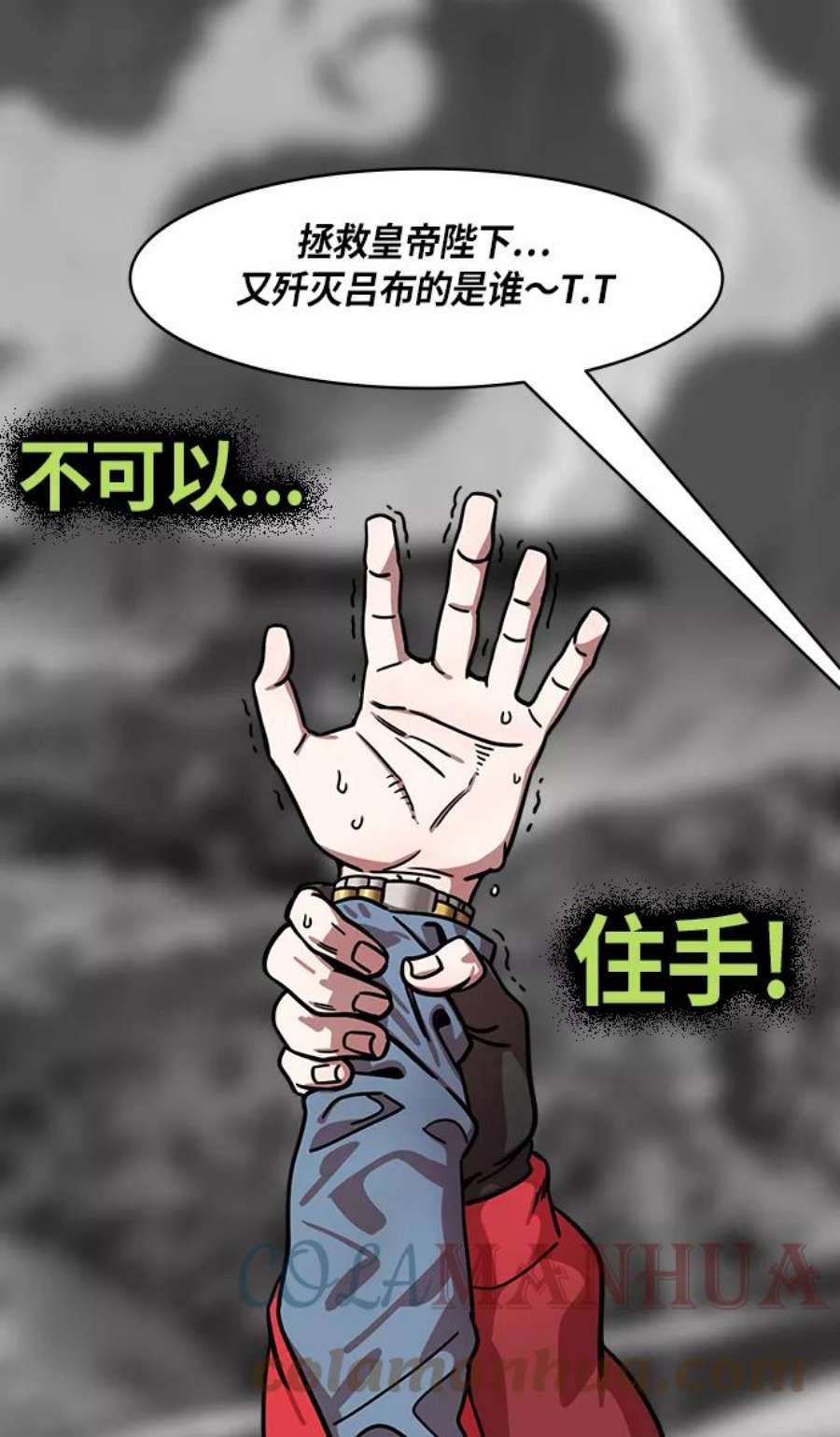 15.jpg