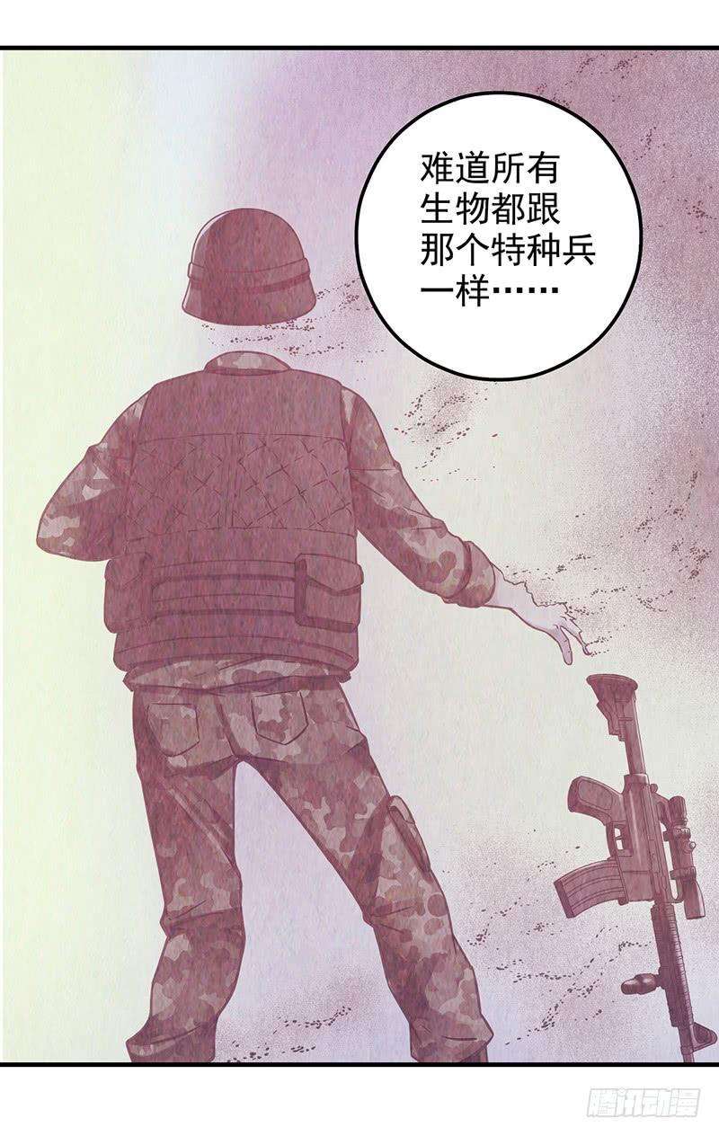 35.jpg
