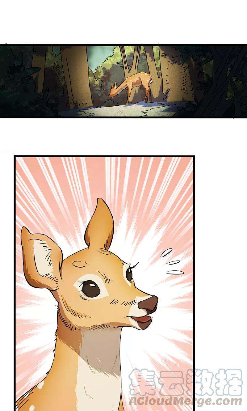 15.jpg
