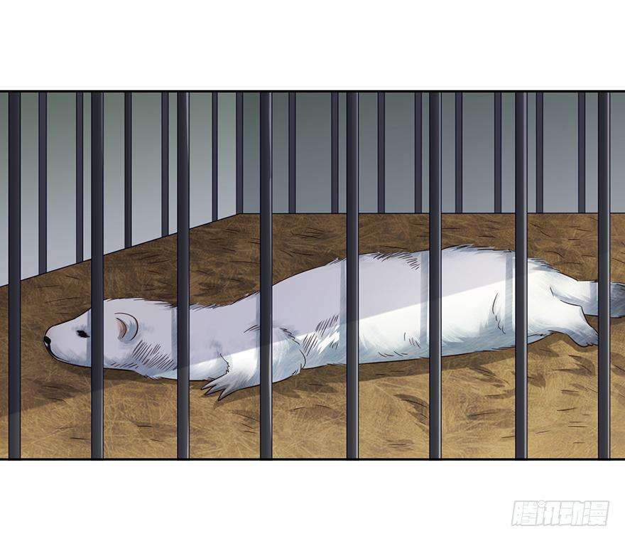 23.jpg