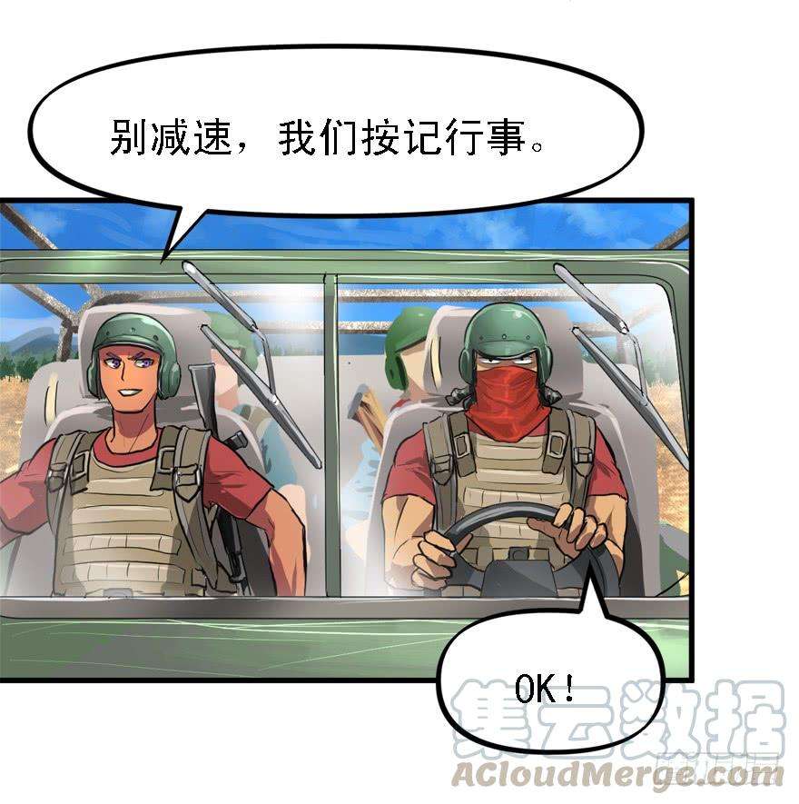 41.jpg